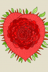 rose-heart1